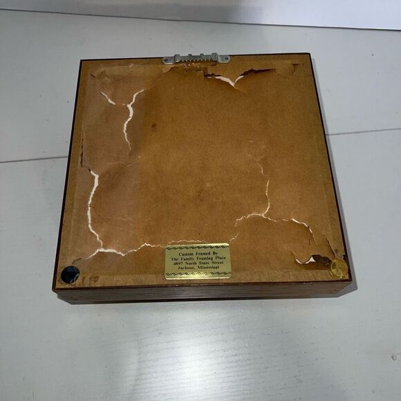 Vintage Sea Shell Framed in Oak Shadow Box Matted Glass Front Nautical Beach - Picture 6 of 6